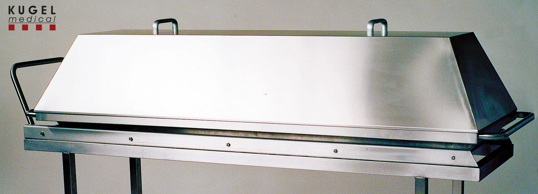 Hood_Stainless_steel_AH__80100_Logo.jpg Hood_Stainless_steel_AH__80100_Logo.jpg