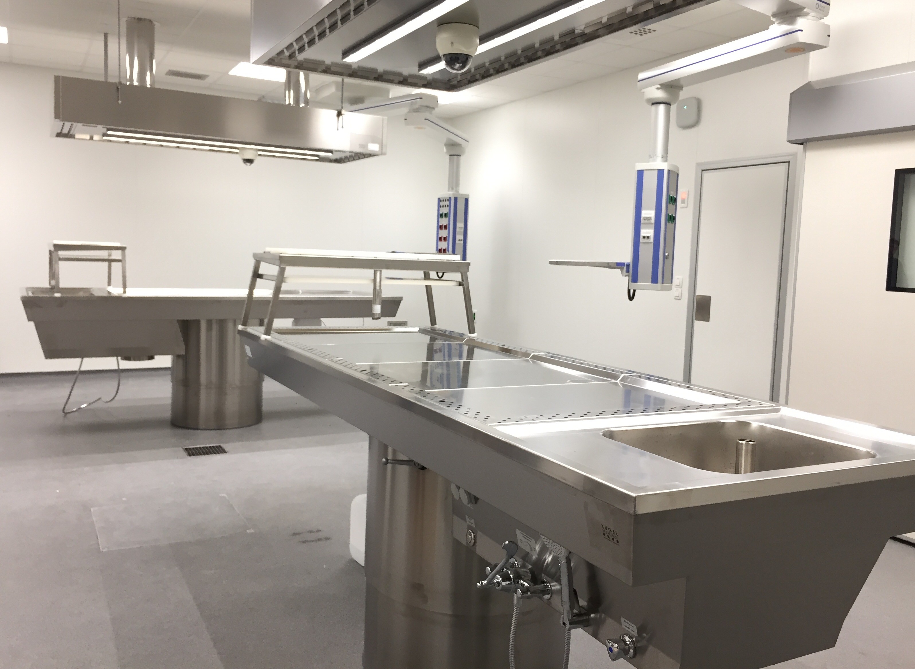 Zulufthaube mit LED Leuchten sowie Videokamera (kundenspezifische Lösung)